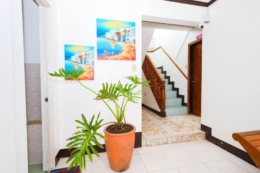 Mayon Backpackers Hostel Legazpi Extérieur photo