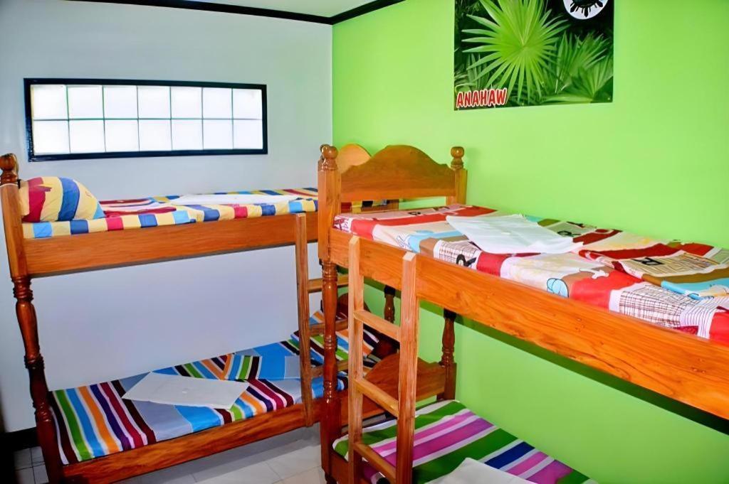 Mayon Backpackers Hostel Legazpi Extérieur photo