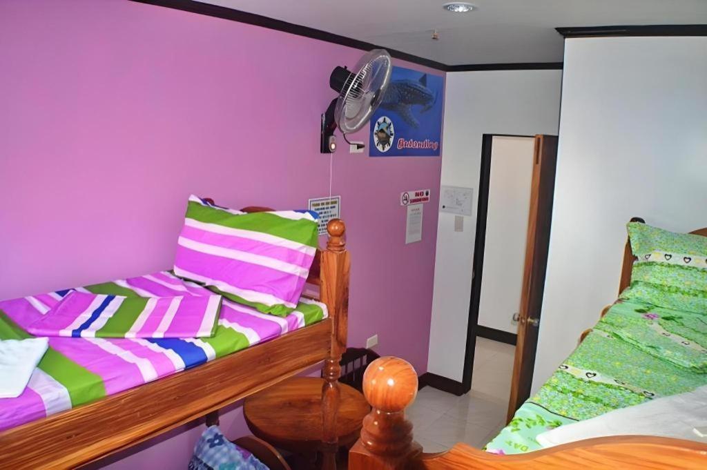 Mayon Backpackers Hostel Legazpi Extérieur photo