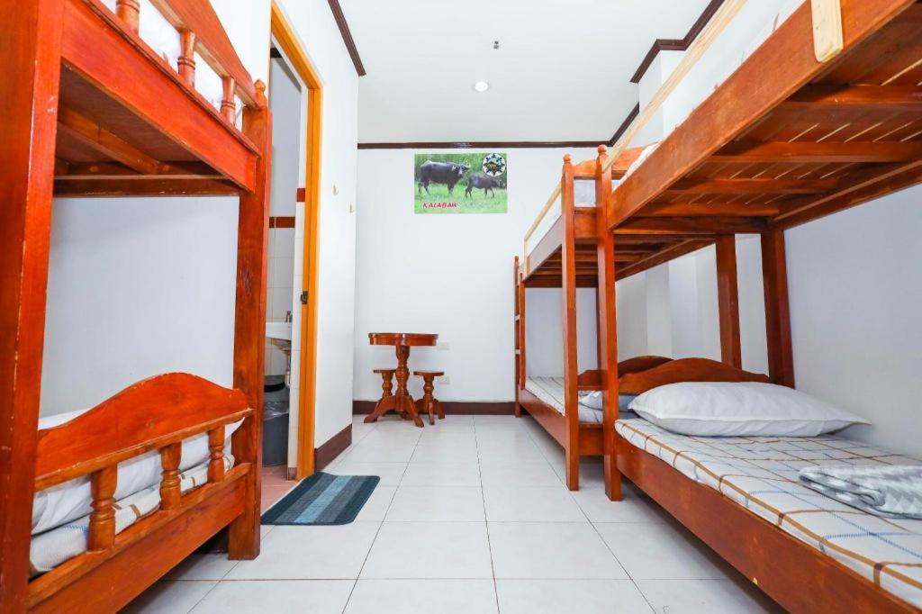 Mayon Backpackers Hostel Legazpi Extérieur photo